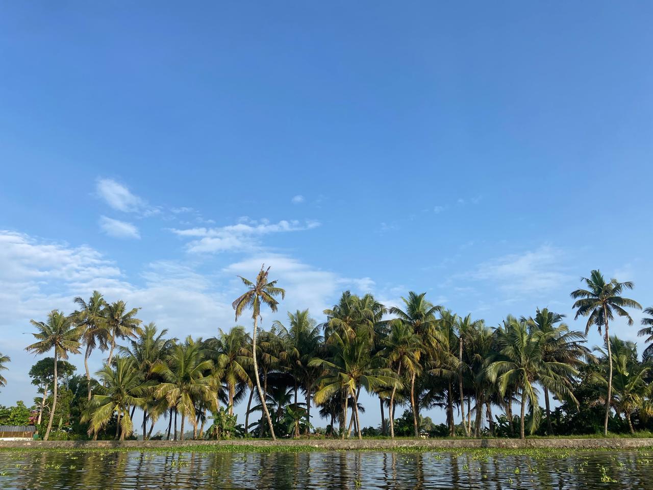 Alappuzha Backwaters